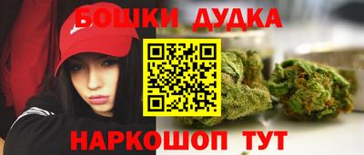 прущие грибы Балашиха