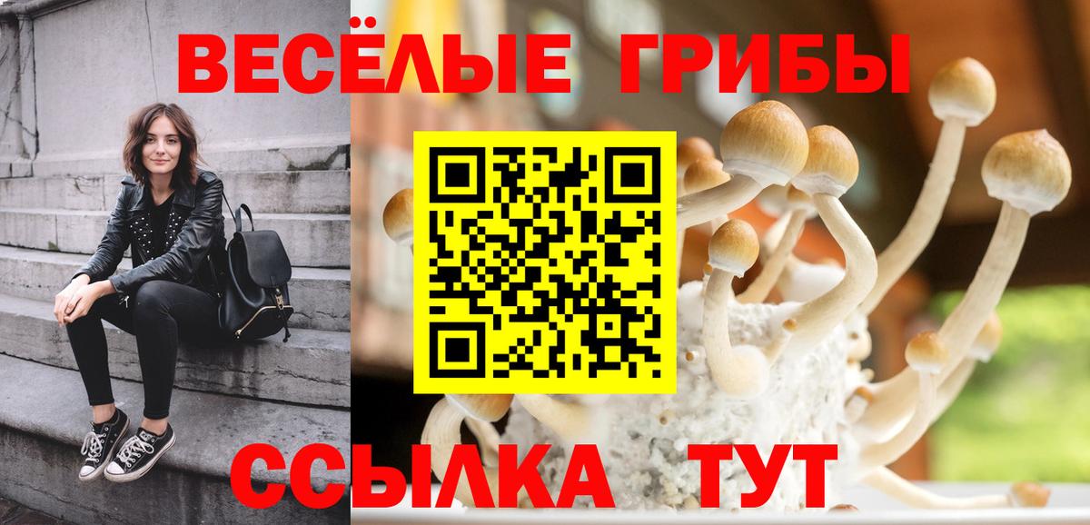 Городец  Галлюциногенные грибы Magic Shrooms  Вход с VPN 